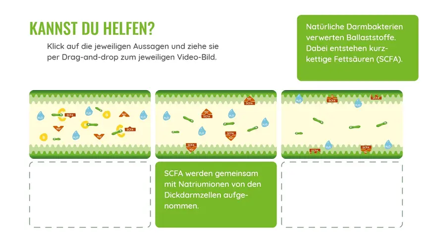 E-Learning für PTA: Spielerisch Medikamentenwissen erweitern. Entdecken Sie die Vorteile für fundierte Apothekenberatungen