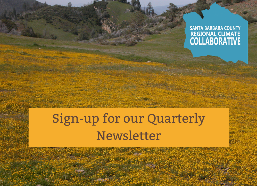 Quarterly Newsletter.png