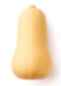 butternut.jpg