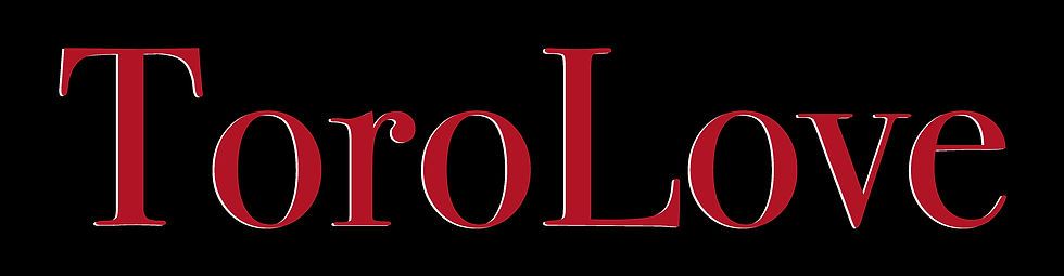 LOGO TOROLOVE big.jpg