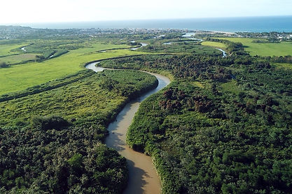 arecibo1.jpg