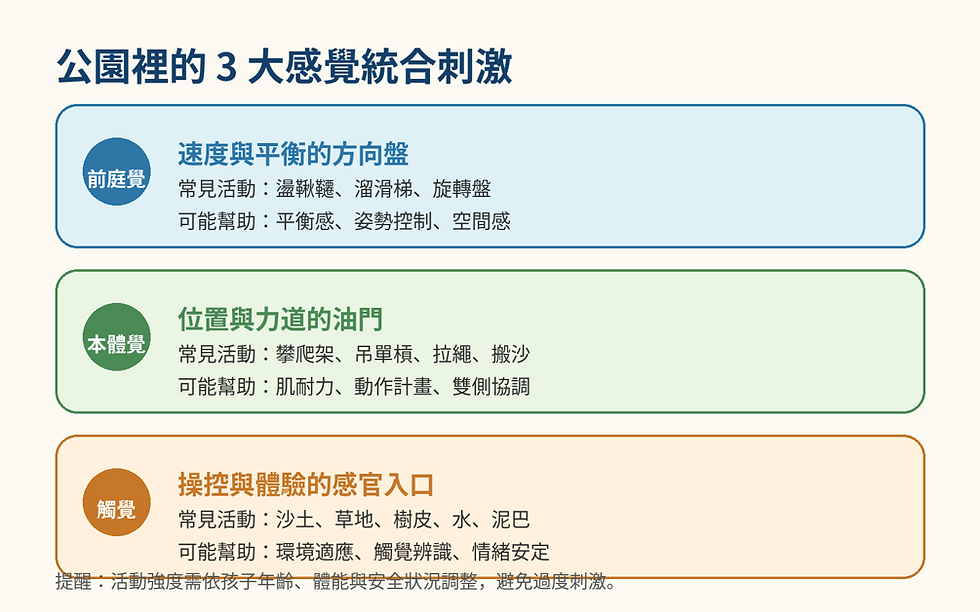 公園活動提供前庭覺、本體覺與觸覺刺激,幫助孩子平衡、協調與情緒調節