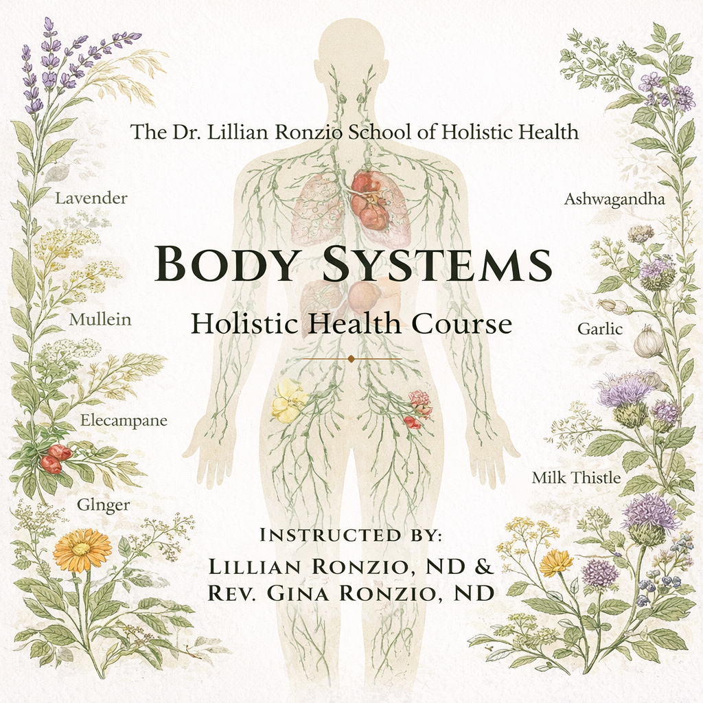 Body Systems ~ Holistic Health Course