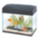 BASIC 20 (20L/5Ga)