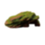 Rock Ornament