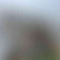 八代市中北町屋根塗装工事　足場仮設