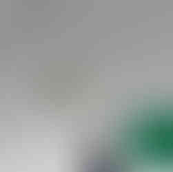 軒天　上塗り2回目