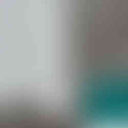 物置外壁　上塗り1回目