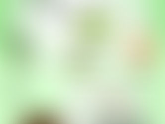 The Journey of a Sugarcane Stalk: From Field to Fork (and Beyond!)