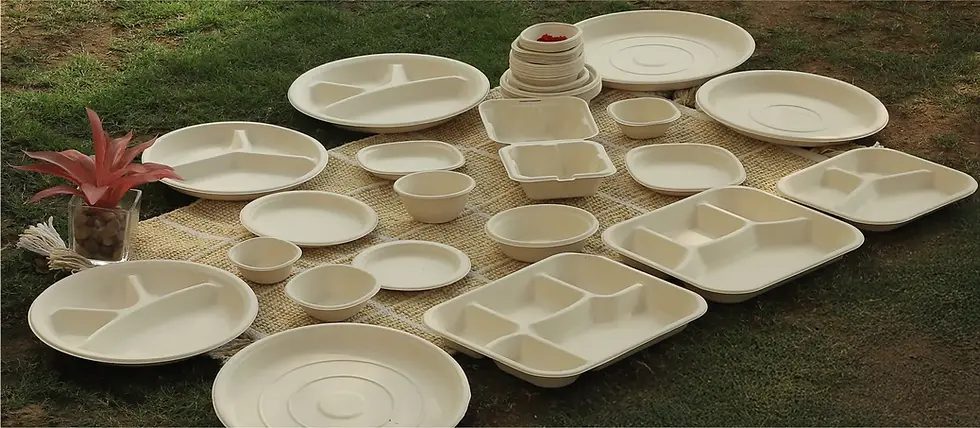 Eco Friendly Plates/bowls/products