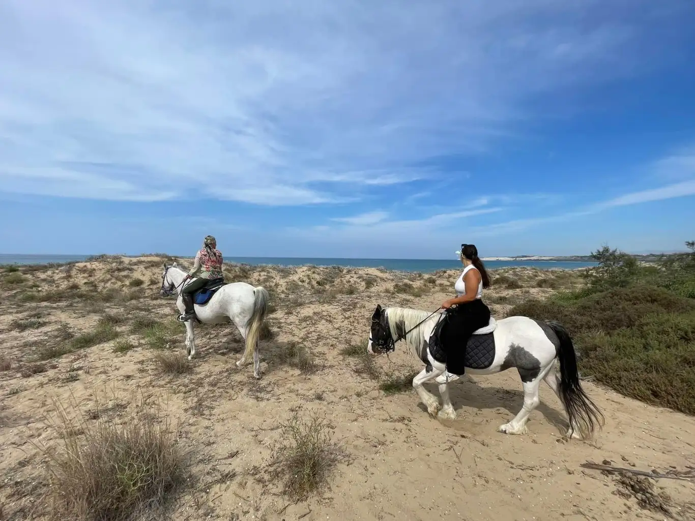Passeggiata a cavallo ad Agrigento nella Riserva Naturale Torre Salsa con aperitivo