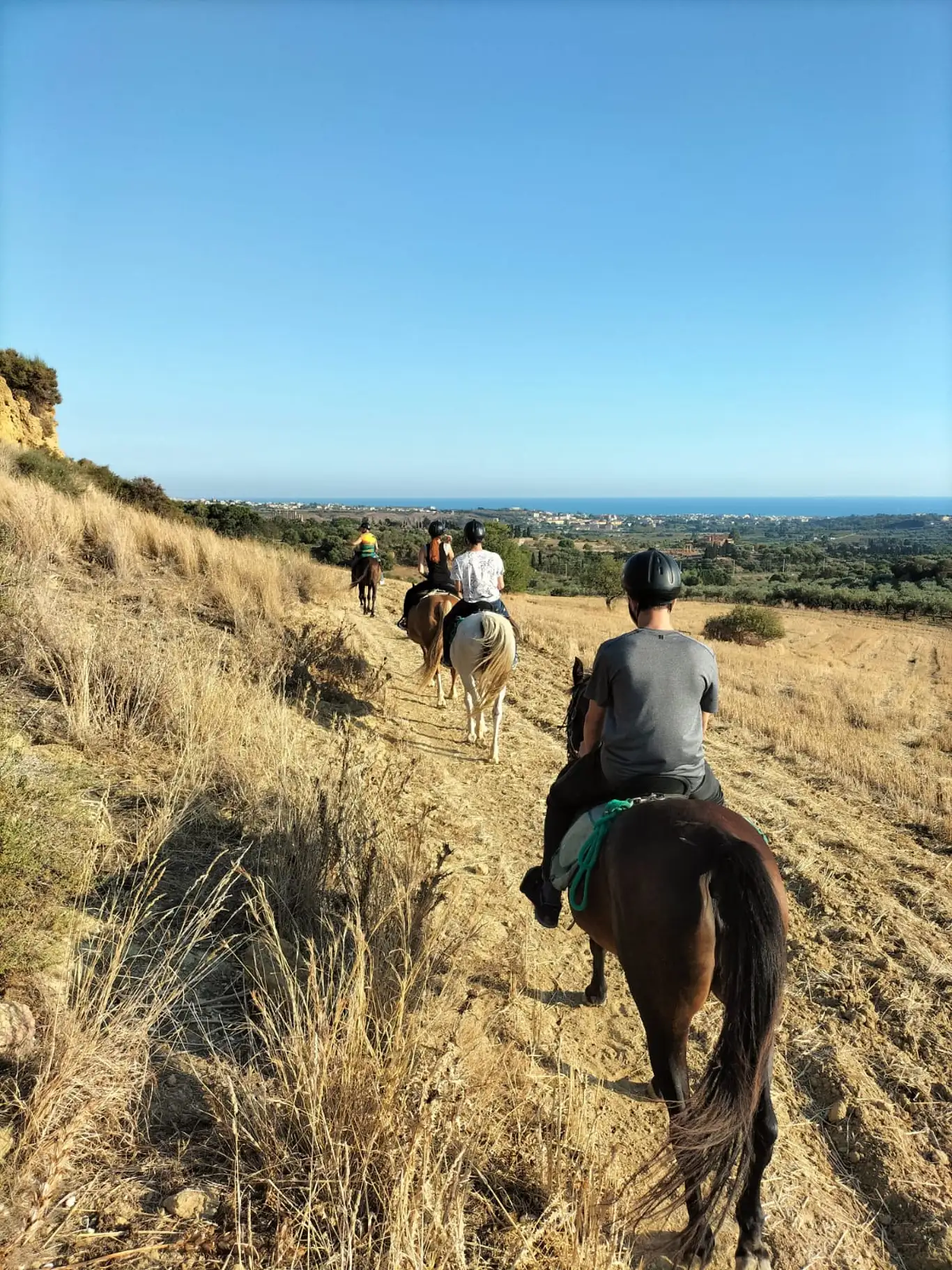 Tour a cavallo alla Valle dei Templi di Agrigento