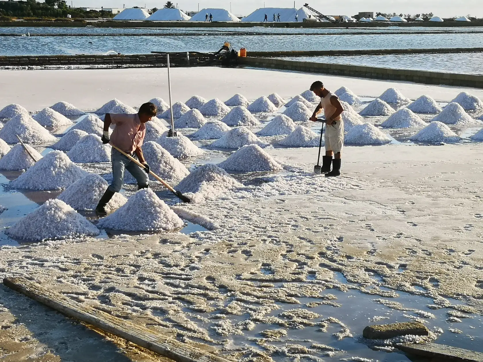 Tour di Marsala tra centro storico, cantina e riserva dello Stagnone da Trapani