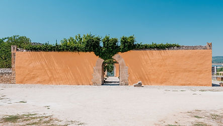 Degustazione vini Planeta in cantina a Sambuca di Sicilia provincia di Agrigento