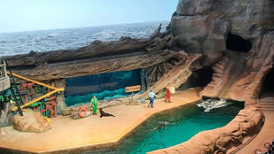 Tour Abu Dhabi Moschea e SeaWorld da Dubai