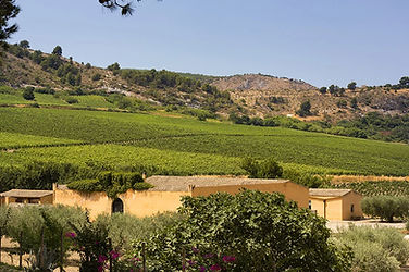 Degustazione vini Planeta in cantina a Sambuca di Sicilia provincia di Agrigento