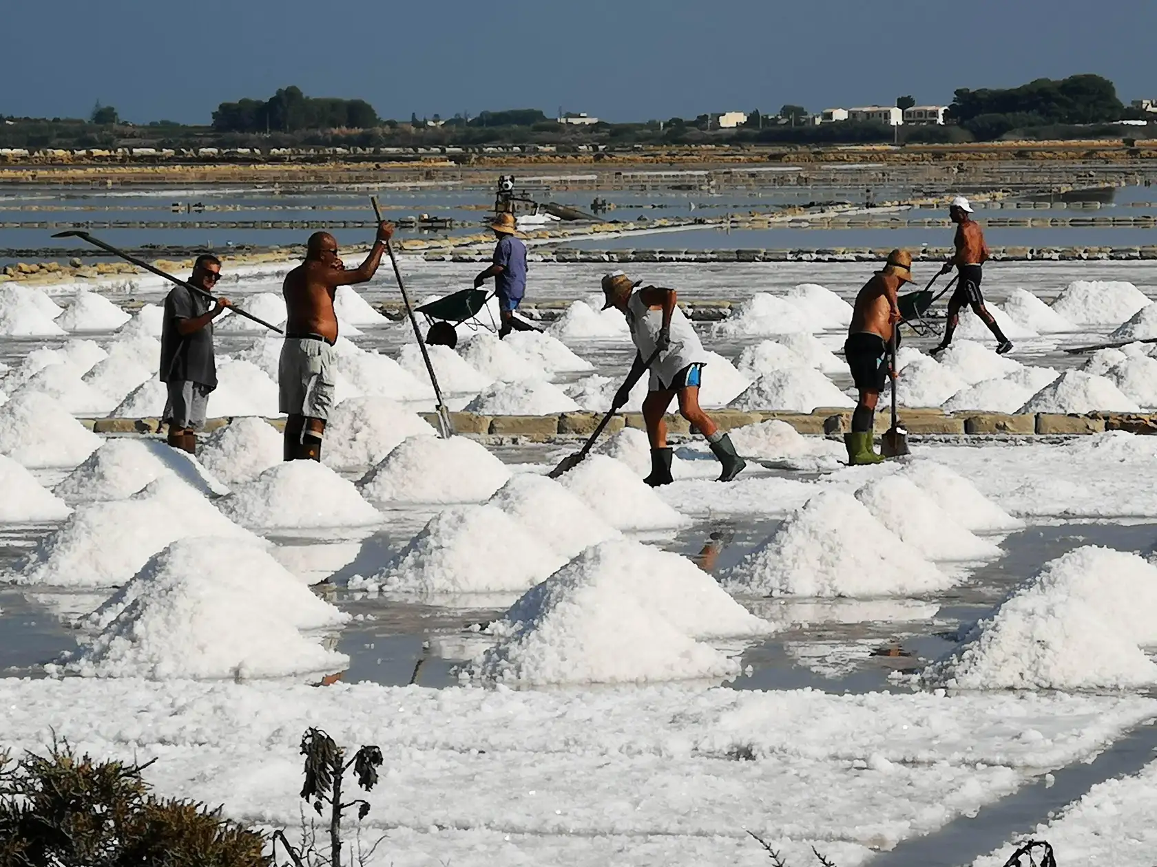 Tour in barca nella laguna della riserva dello stagnone, attorno all’isola di Mothia con transfer da Trapani