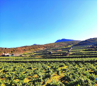 Pantelleria cosa vedere
