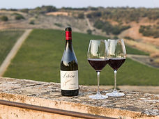 Soggiorno in Wine Resort in Sicilia al Feudi del Pisciotto tra natura e vino