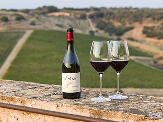 Soggiorno in Wine Resort in Sicilia al Feudi del Pisciotto tra natura e vino