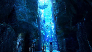 Tour Abu Dhabi Moschea e SeaWorld da Dubai