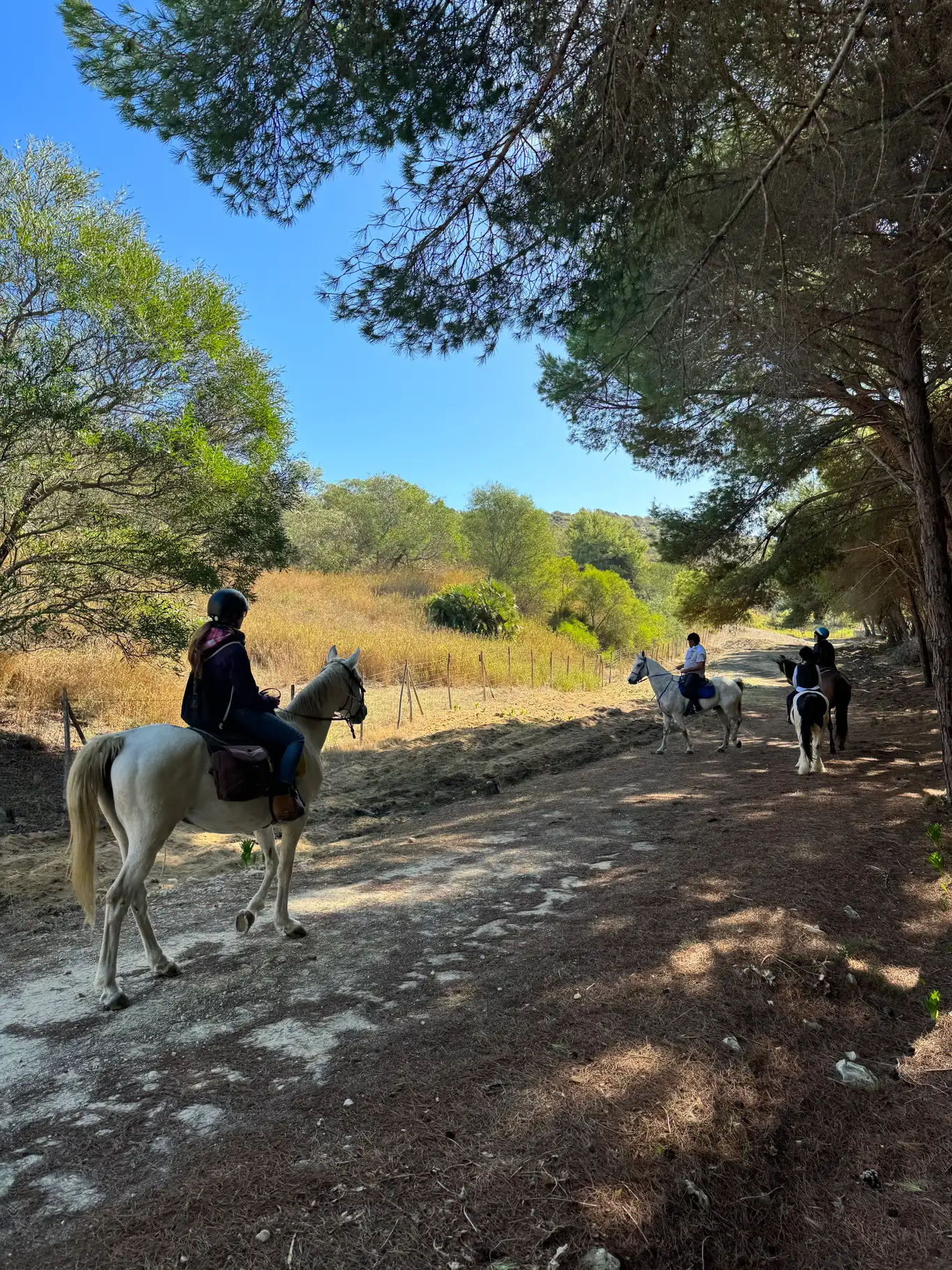 Passeggiata a cavallo ad Agrigento tra Riserva Torre Salsa e Capo Bianco