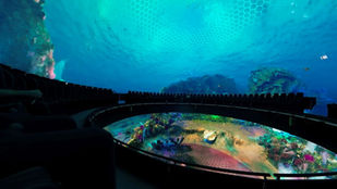 Tour Abu Dhabi Moschea e SeaWorld da Dubai