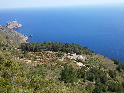 Isole Egadi cosa vedere