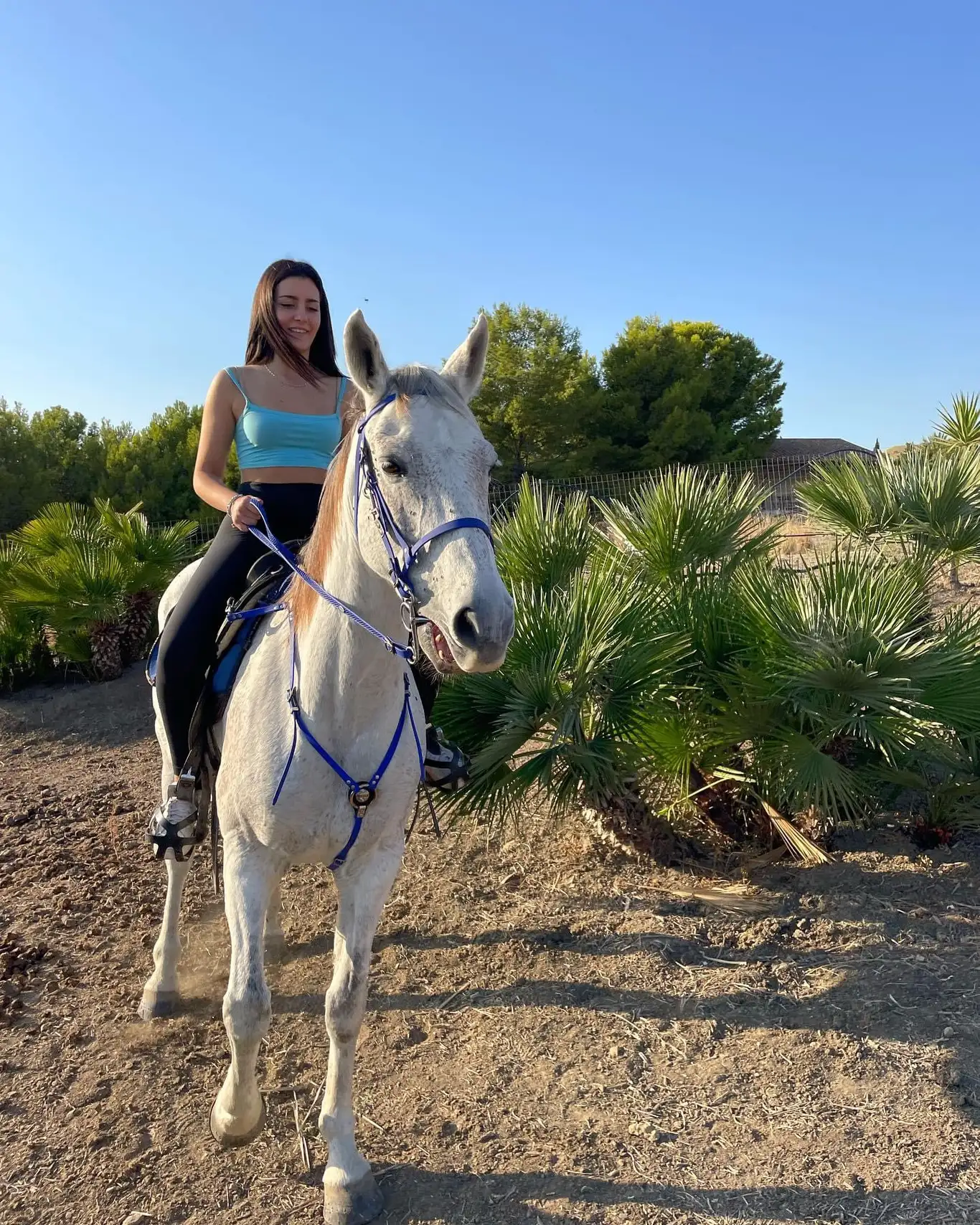 Passeggiata a cavallo ad Agrigento tra Riserva Torre Salsa e Capo Bianco