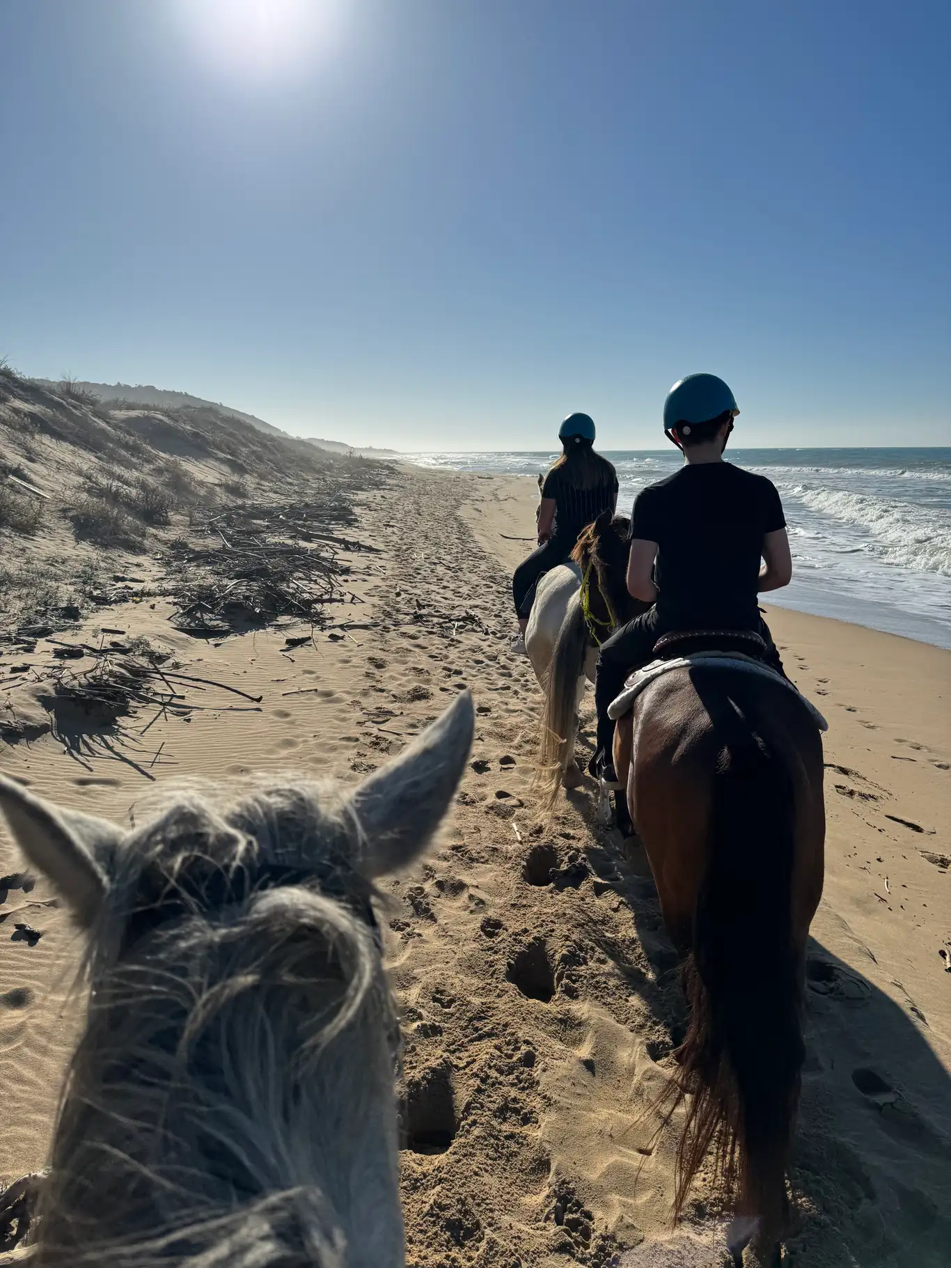 Passeggiata a cavallo ad Agrigento nella Riserva Naturale Torre Salsa con aperitivo