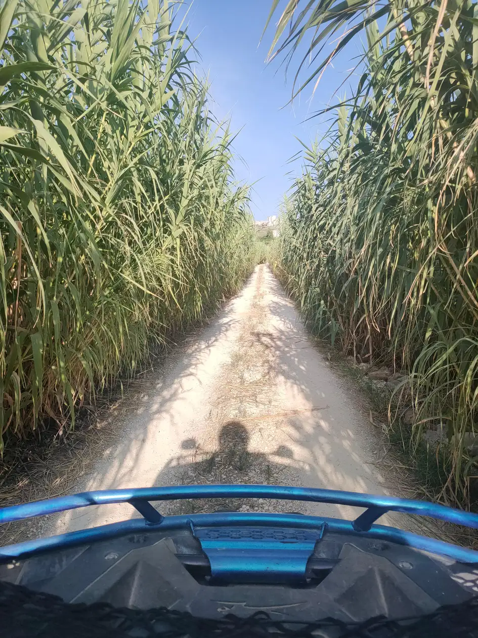 Tour in quad al castello Poggiodiana e dintorni da Agrigento
