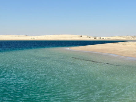 Doha tour città e desert safari 