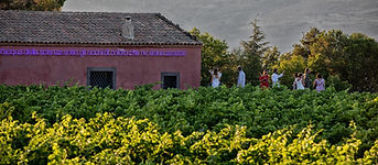 Degustazione vini Planeta cantina Sciaranuova sull'Etna