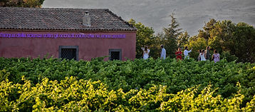 Degustazione vini Planeta cantina Sciaranuova sull'Etna
