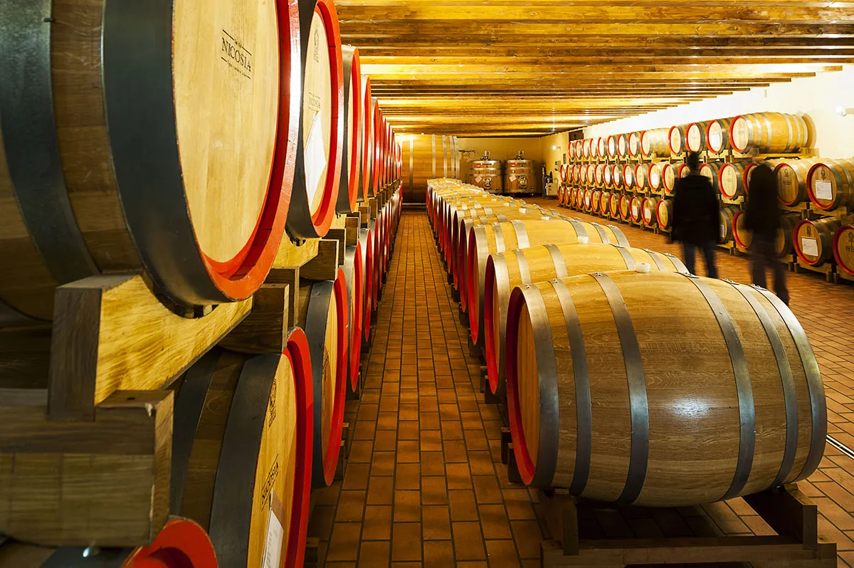 Scopri l'Etna e i vini Etna Doc con un tour giornaliero da Catania