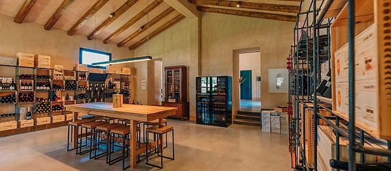 Degustazione vini Planeta in cantina a Noto