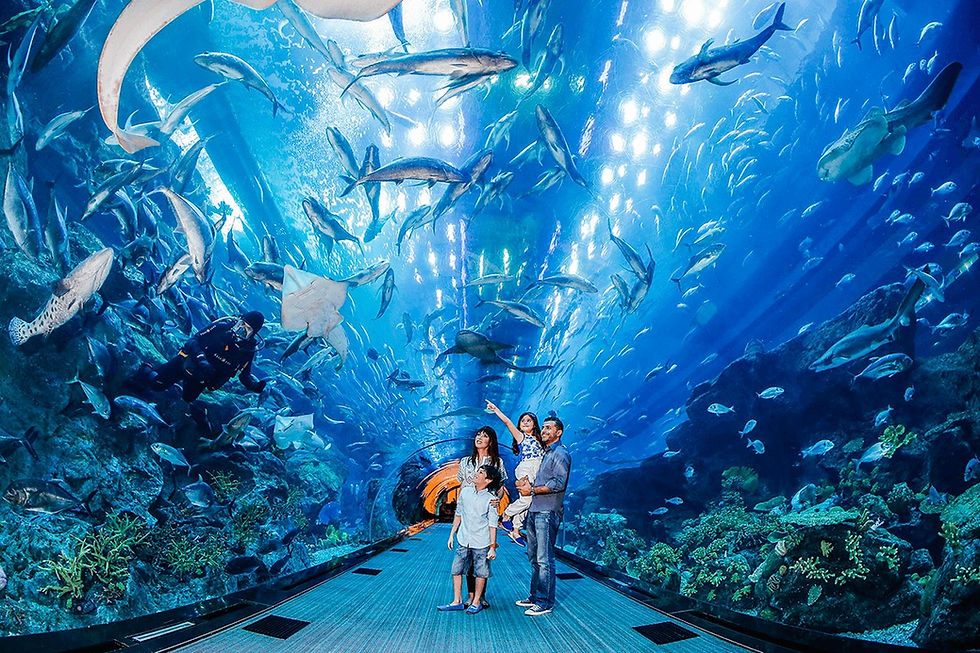 •  Dubai Aquarium & Underwater Zoo 
