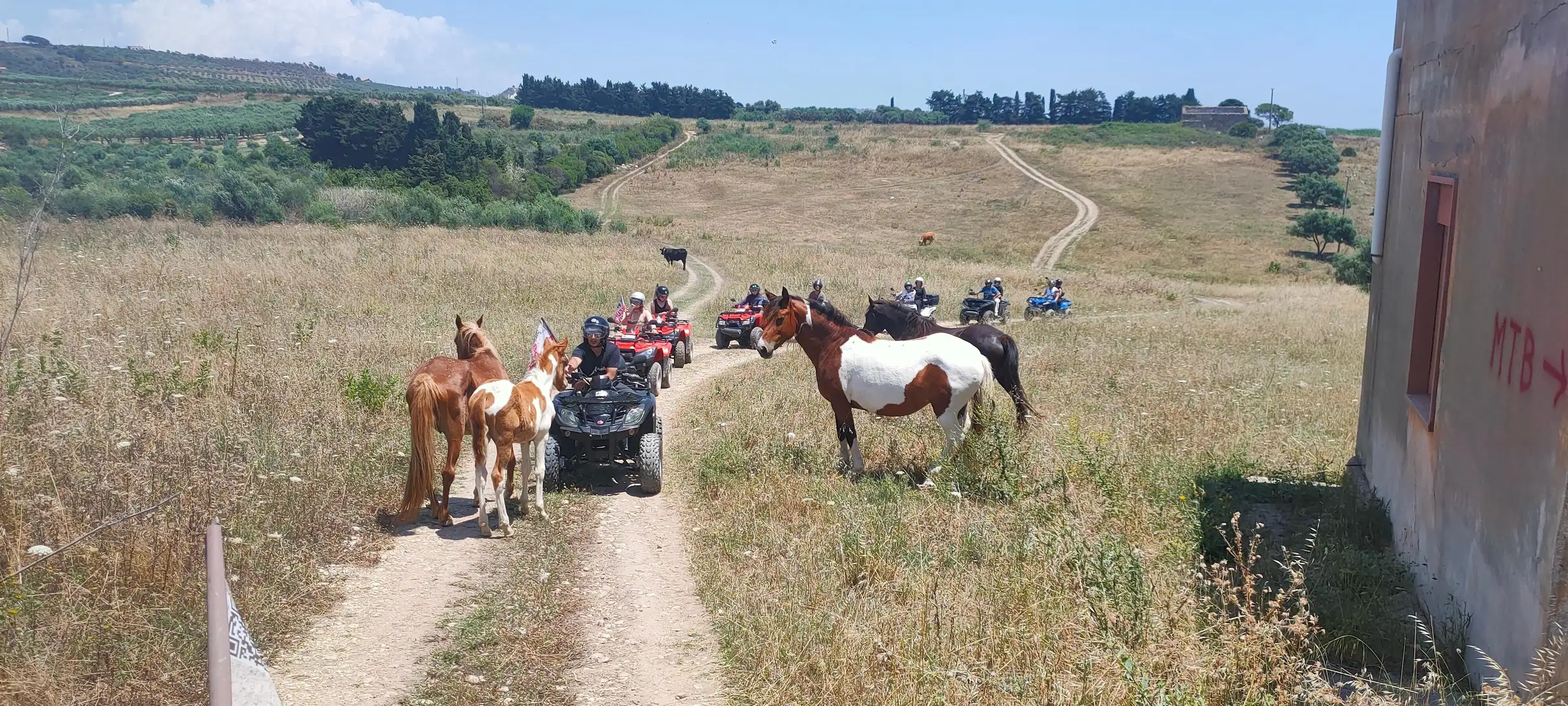 Tour in quad tra boschi e natura selvaggia da Ribera in provincia di Agrigento