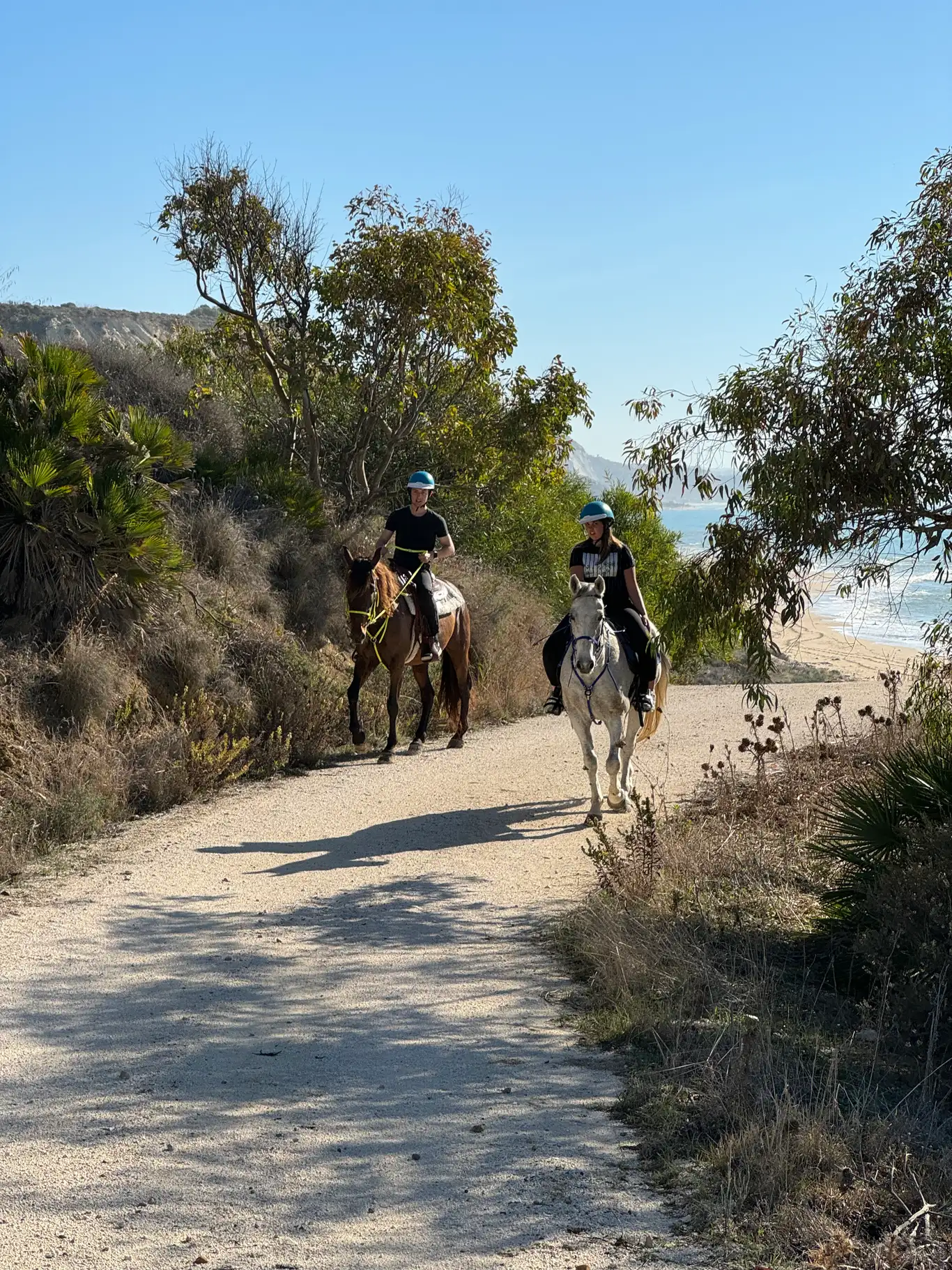 Passeggiata a cavallo ad Agrigento tra Riserva Torre Salsa e Capo Bianco
