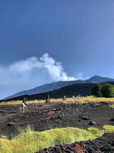 Diventa partner Sicily Your Guide