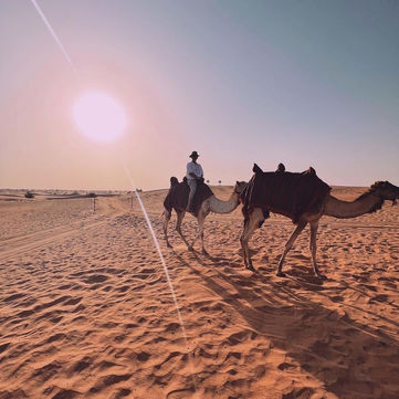 Esperienze nel deserto al Sonara Camp