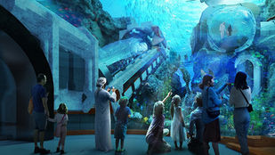 Tour Abu Dhabi Moschea e SeaWorld da Dubai