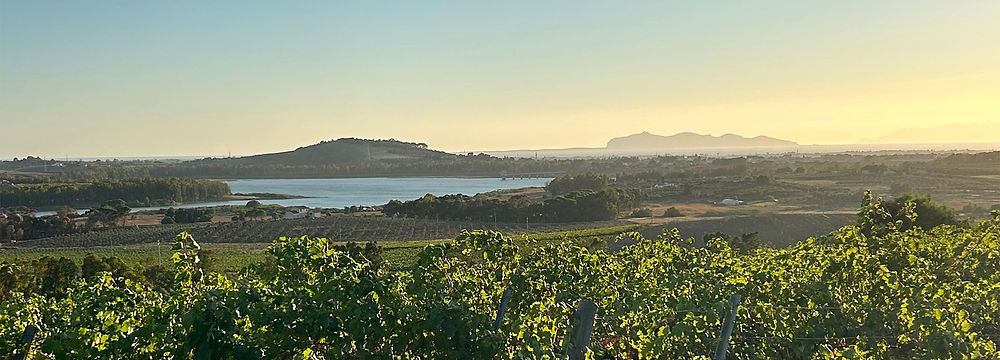 Offerta soggiorno wine resort Baglio Soria Trapani + degustazione vino con pranzo