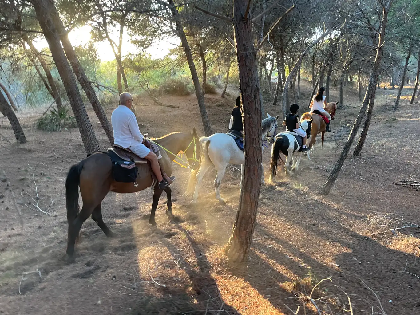 Passeggiata a cavallo ad Agrigento tra Riserva Torre Salsa e Capo Bianco