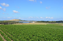 Offerta soggiorno wine resort Baglio Soria Trapani + degustazione vino con pranzo