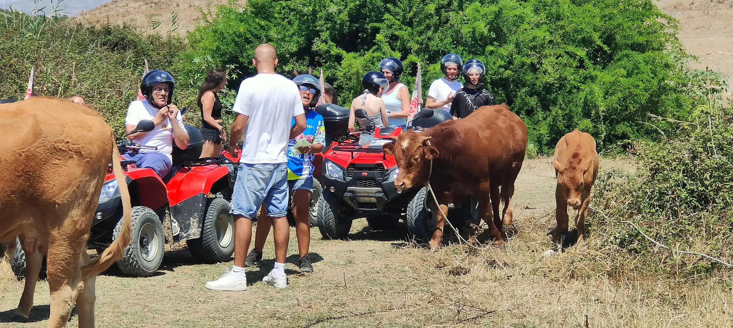 Tour in quad al castello Poggiodiana e dintorni da Agrigento
