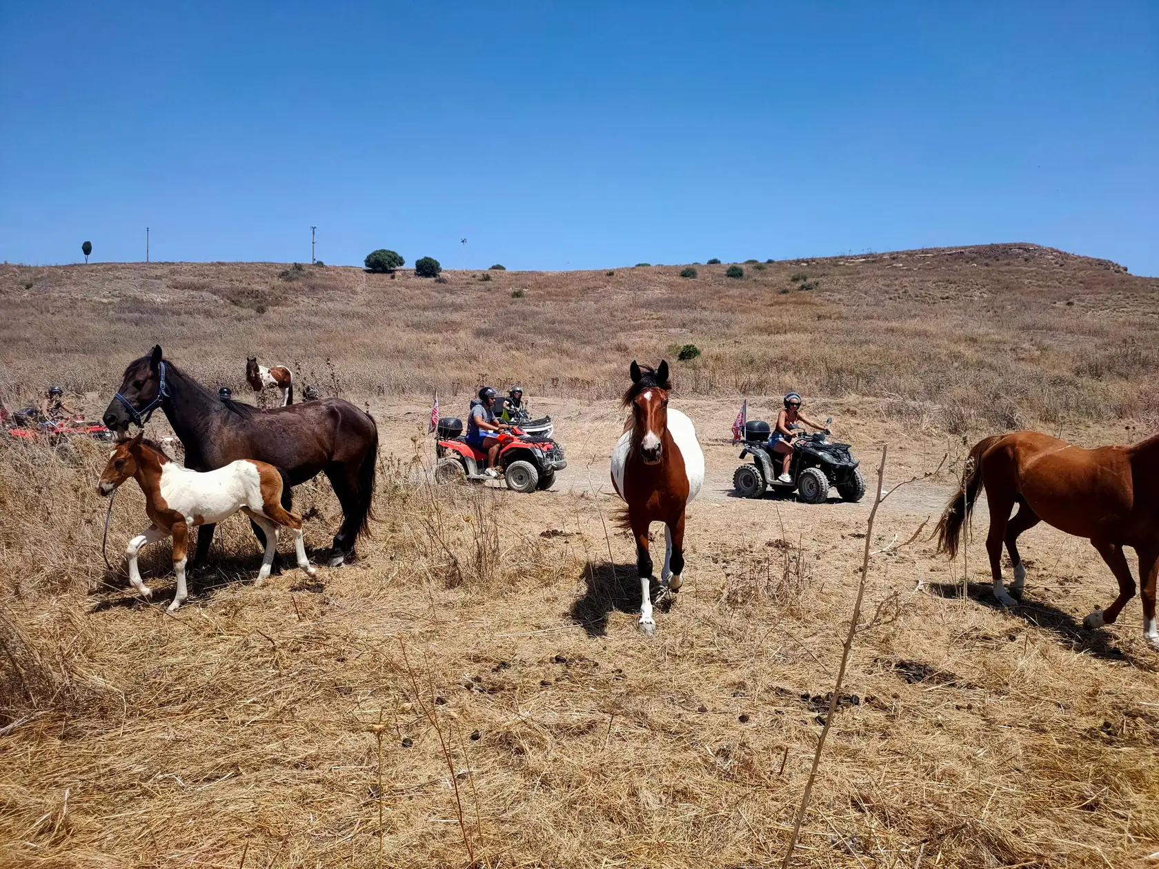 Tour in quad tra boschi e natura selvaggia da Ribera in provincia di Agrigento