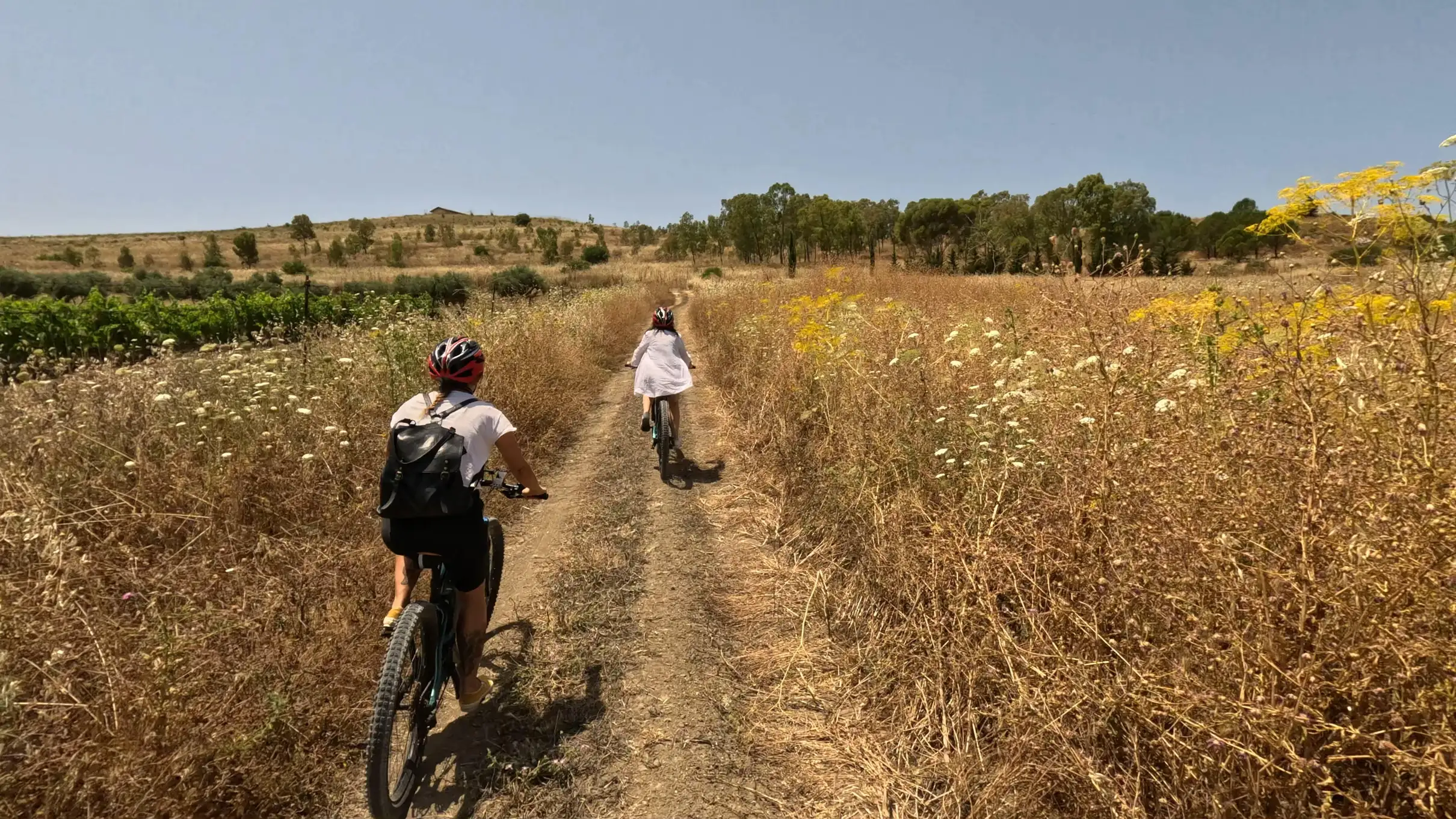 Agrigento: Tour Ebike in centro storico e Valle dei Templi con cibo tipico