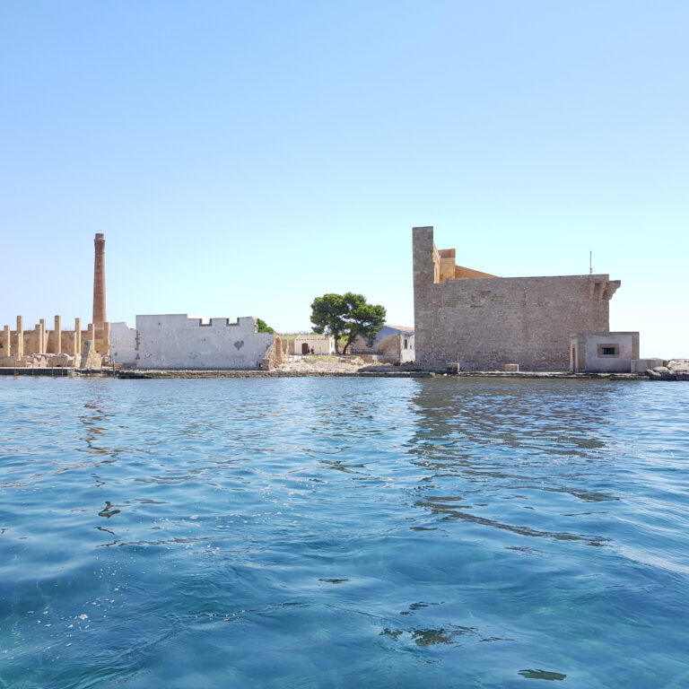 Tour privato in barca all'Isola di Vendicari, Isola di Capopassero, Colonne Romane, Castello Tafuri e Spiaggia di calamosche con aperitivo da Marzamemi