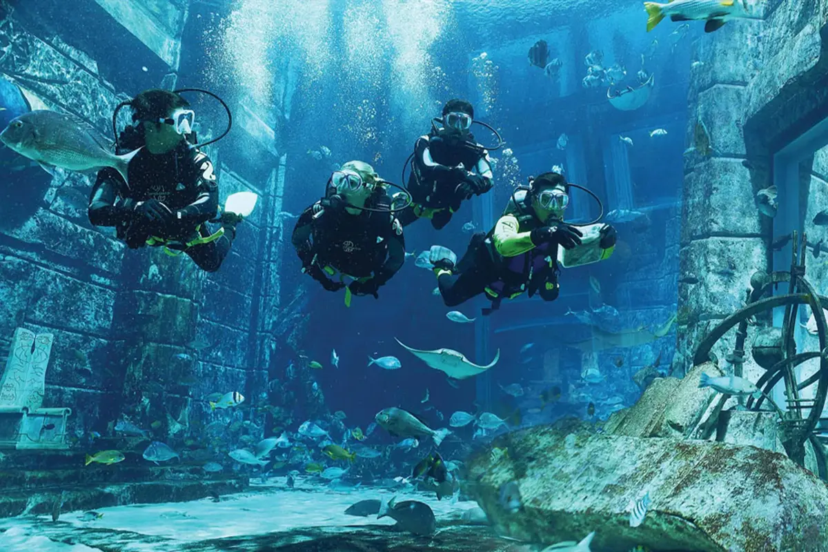 Dubai esperienza con gli squali atlantis the palm